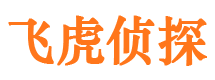 庆城侦探公司